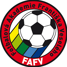 Fotbalová akademie Františka Veselého